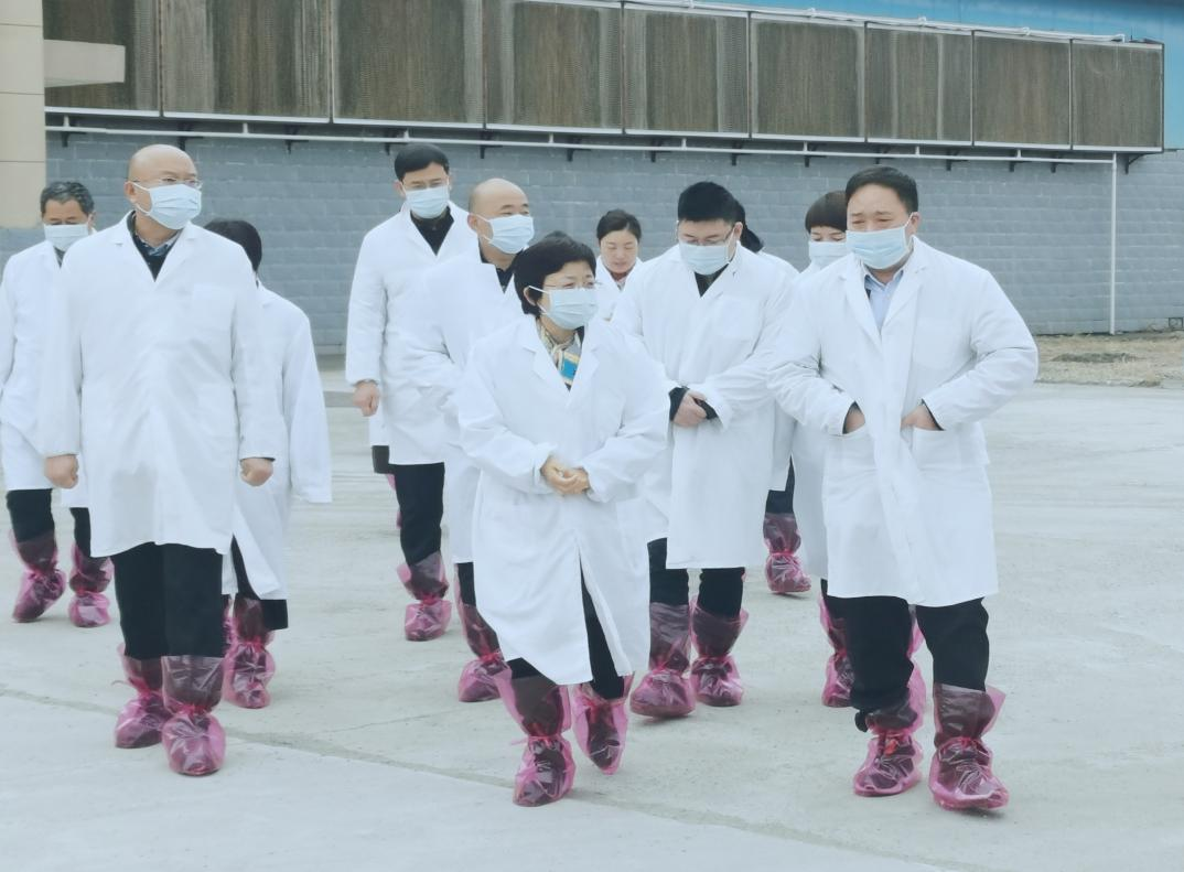 河南省郑州市人民政府副市长李凤芝一行莅临2UP.IO（中国）河南瑞亚参观调研