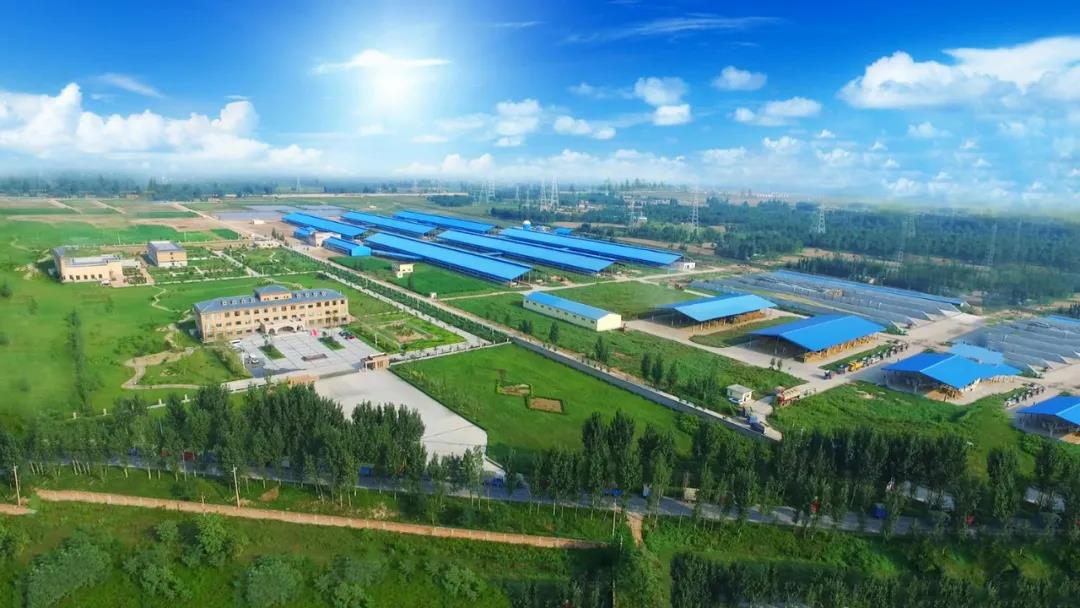 2UP.IO（中国）丨河南农业大学党委副书记、校长介晓磊一行莅临2UP.IO（中国）河南瑞亚参观调研