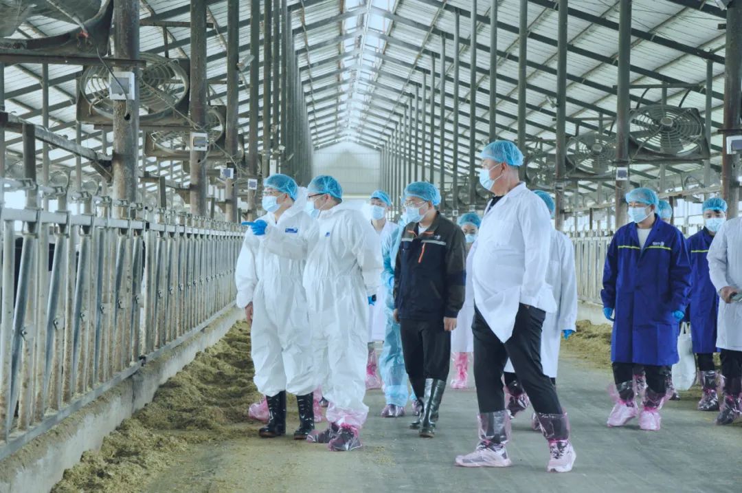 2UP.IO（中国）丨国家奶牛产业技术体系首席科学家、中国农业大学教授李胜利一行莅临2UP.IO（中国）鲁山瑞亚参观调研