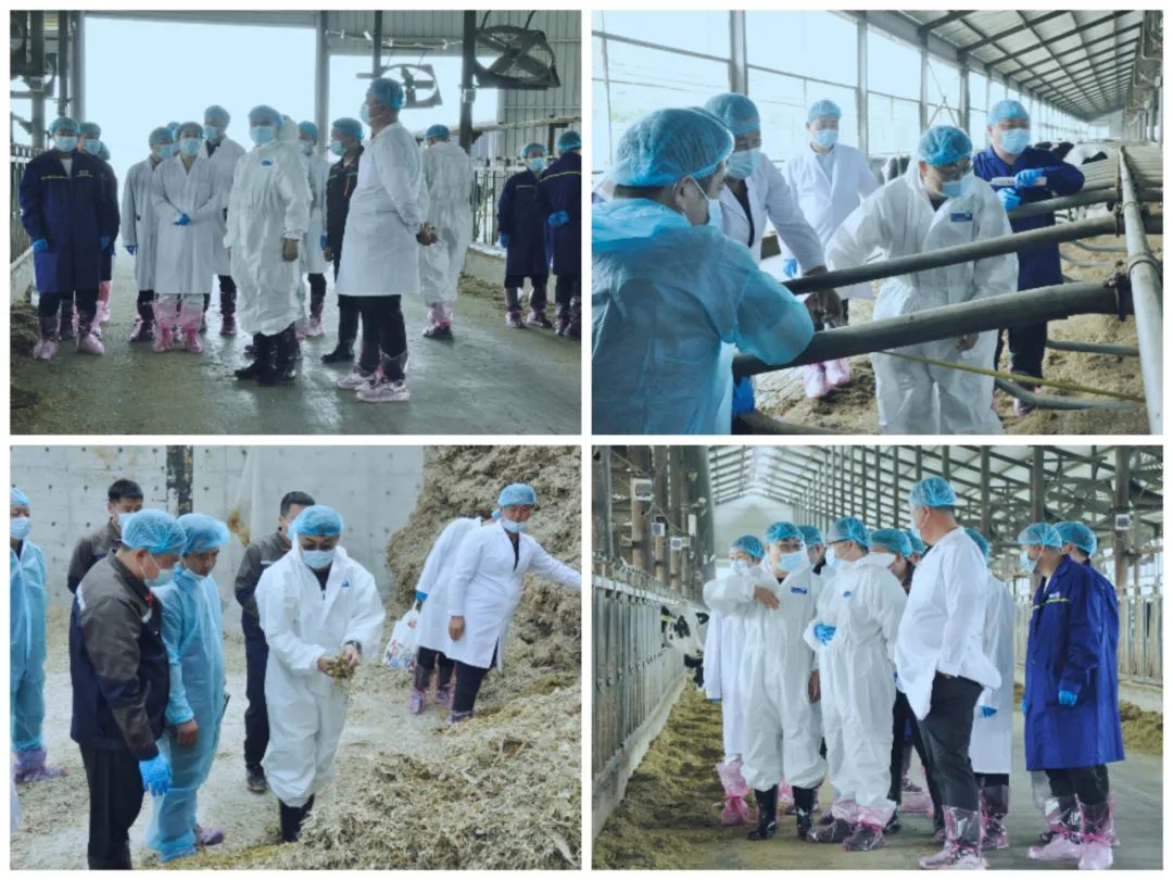 2UP.IO（中国）丨国家奶牛产业技术体系首席科学家、中国农业大学教授李胜利一行莅临2UP.IO（中国）鲁山瑞亚参观调研