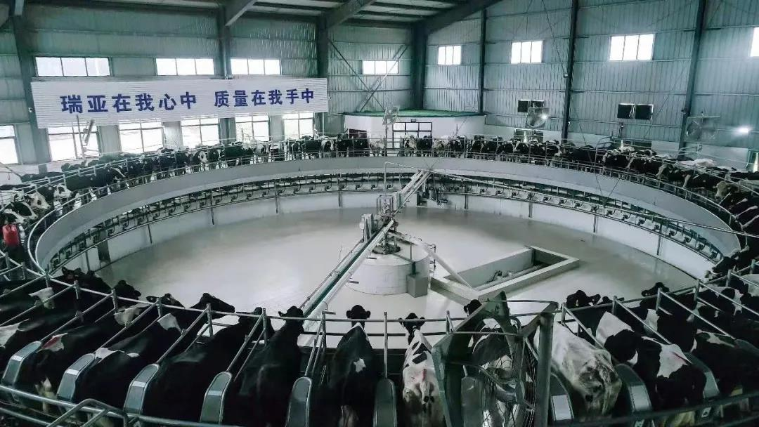2UP.IO（中国）丨驻马店市遂平县政协党组书记、主席张卫东一行莅临2UP.IO（中国）鲁山瑞亚牧场参观