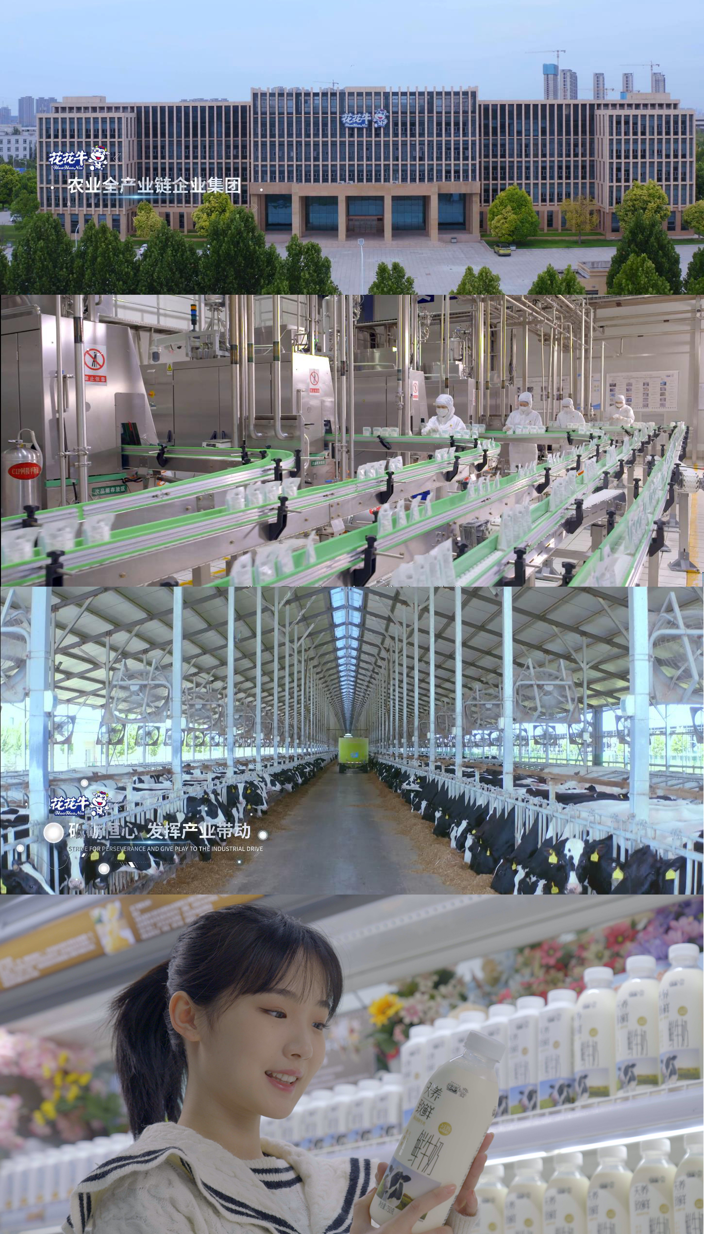 快讯 | 沈阳市政府副市长郑滨一行莅临2UP.IO（中国）乳业集团考察