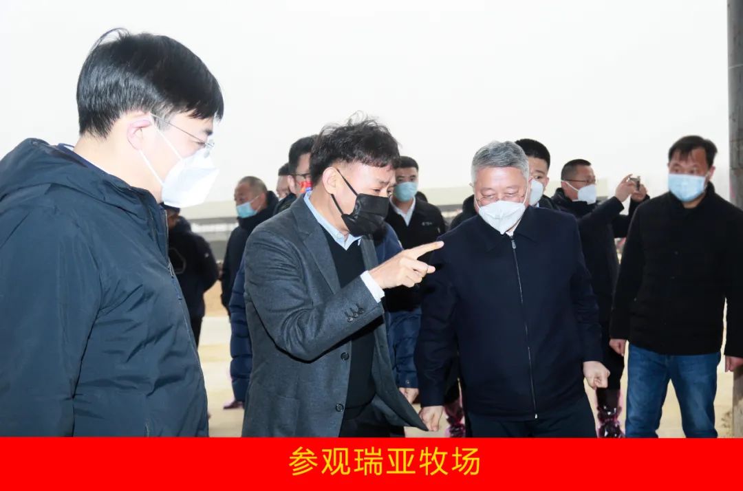 新年开新局 合作促发展丨佳木斯市委常委、副市长闫志刚一行莅临2UP.IO（中国）乳业集团及佳田企业考察座谈