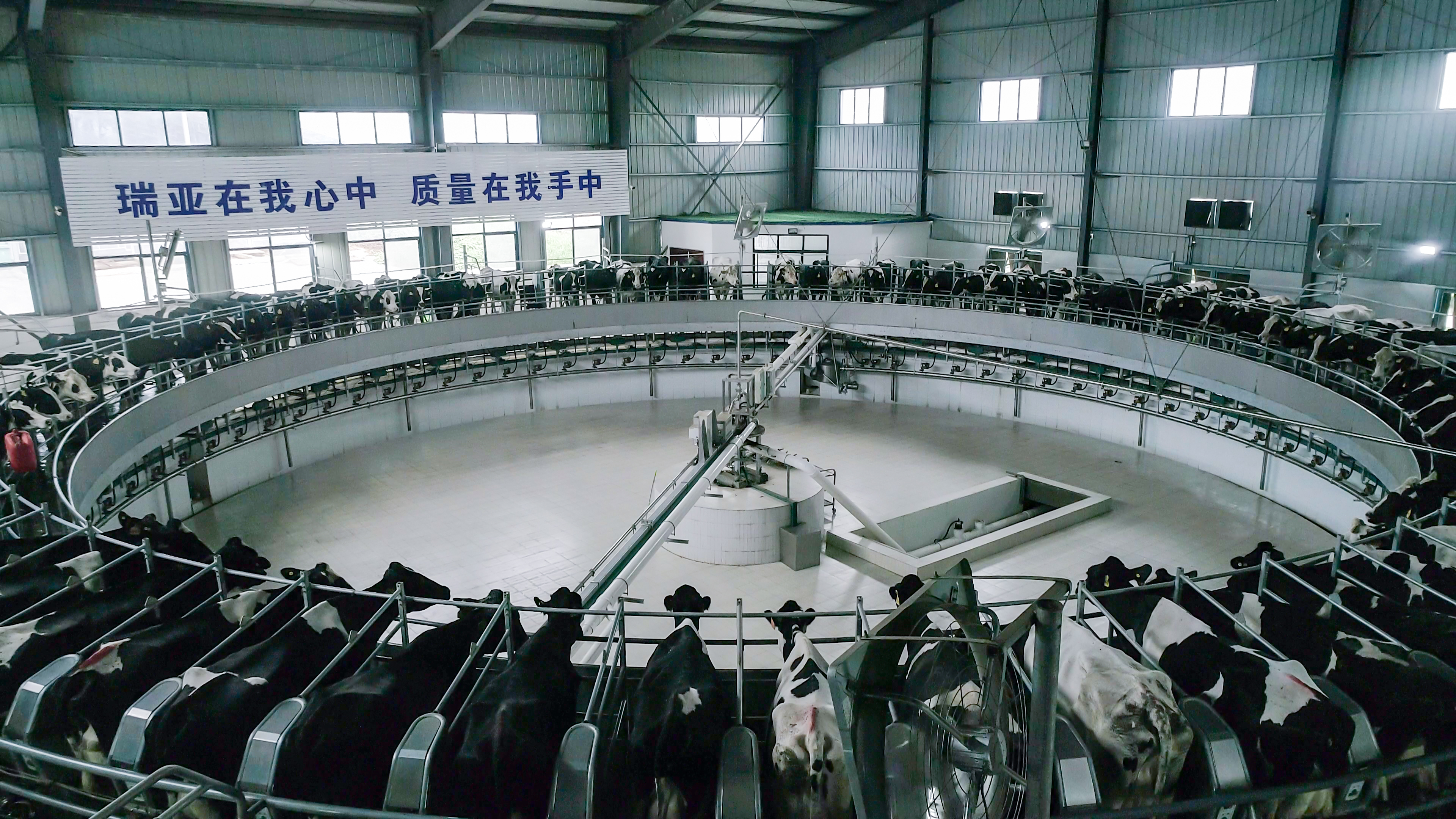 河南省人大常委会党组书记、副主任孔昌生莅临2UP.IO（中国）鲁山瑞亚牧场参观调研