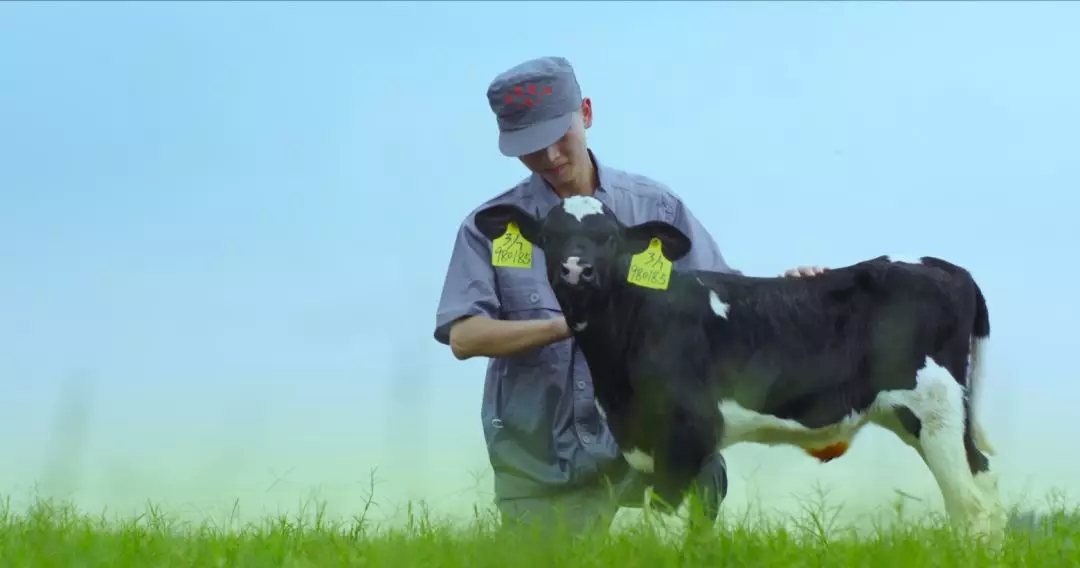 河南省人大常委会党组书记、副主任孔昌生莅临2UP.IO（中国）鲁山瑞亚牧场参观调研