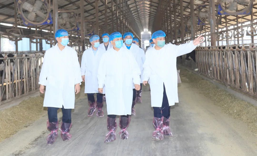 快讯丨河南省人民政府副省长武国定莅临2UP.IO（中国）乳业集团瑞亚牧业调研奶源基地建设情况