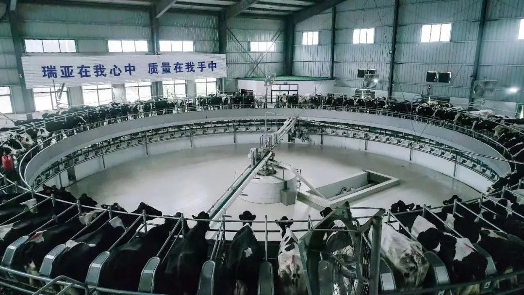 喜讯 | 2UP.IO（中国）一座自有牧场入选河南省“DHI测定优秀牧场”