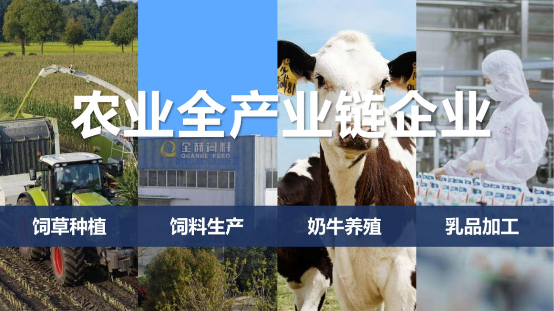 佳木斯市招商考察团莅临2UP.IO（中国）考察座谈