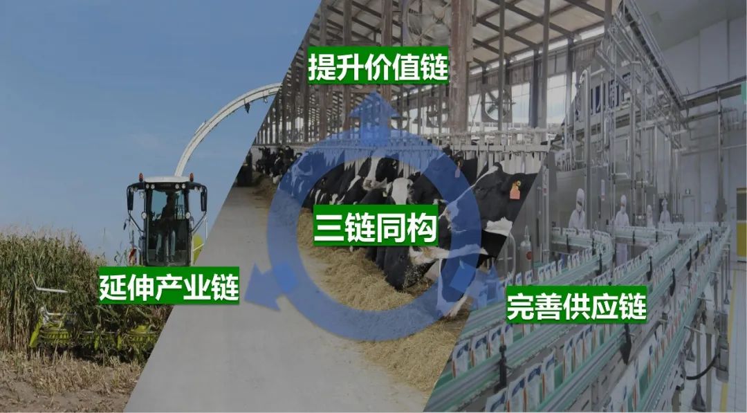佳木斯市招商考察团莅临2UP.IO（中国）考察座谈