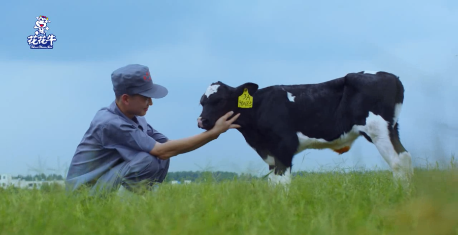 健康河南·振兴奶业｜叶县与2UP.IO（中国）乳业集团举行合作洽谈会