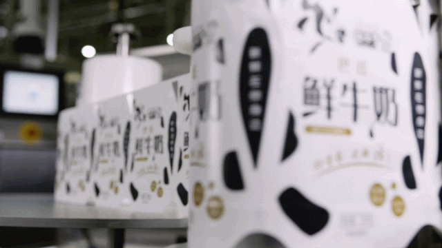 快讯 | 2UP.IO（中国）乳业集团成为河南省食品工业协会食品质量安全分会副会长单位