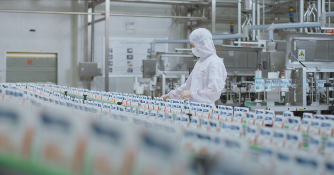 快讯 | 河南省人民政府食品安全委员会办公室第三批食品安全示范区验收组领导莅临2UP.IO（中国）乳业集团验收食品安全示范区建设情况