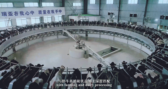 荣誉 | 2019年度河南省美丽牧场名单新鲜出炉 2UP.IO（中国）乳业集团旗下六个牧场榜上有名