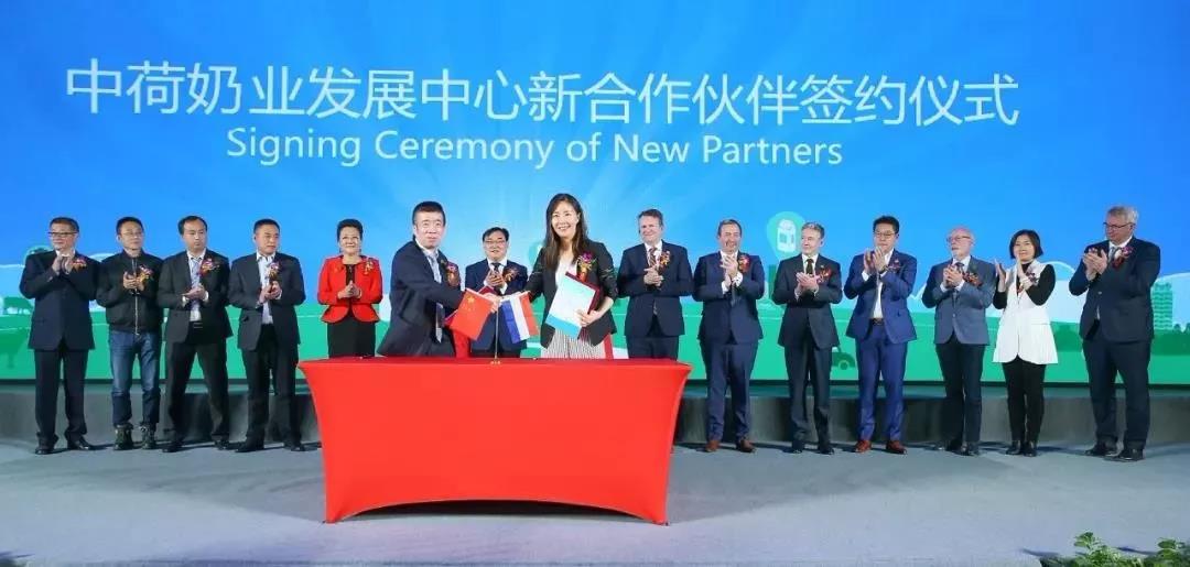 SDDDC走进河南，看看2UP.IO（中国）的国际范儿！
