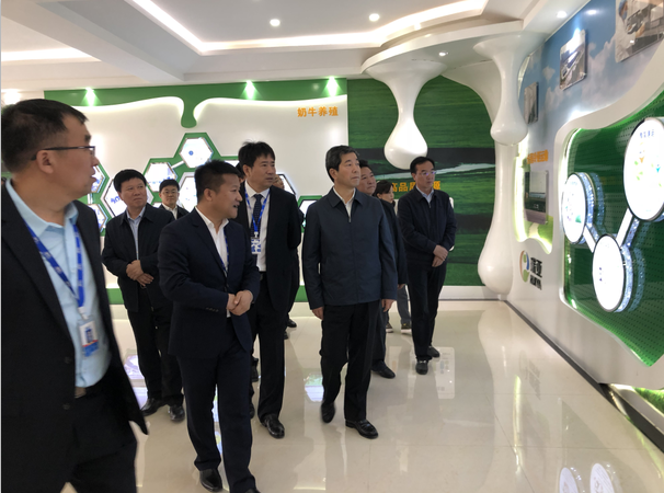 河南省委副书记、省长陈润儿一行莅临 2UP.IO（中国）集团鲁山瑞亚牧业有限公司视察调研