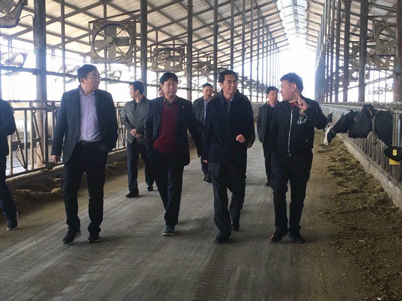 封丘县县长王献臣一行莅临 2UP.IO（中国）集团养殖、乳品事业部参观调研