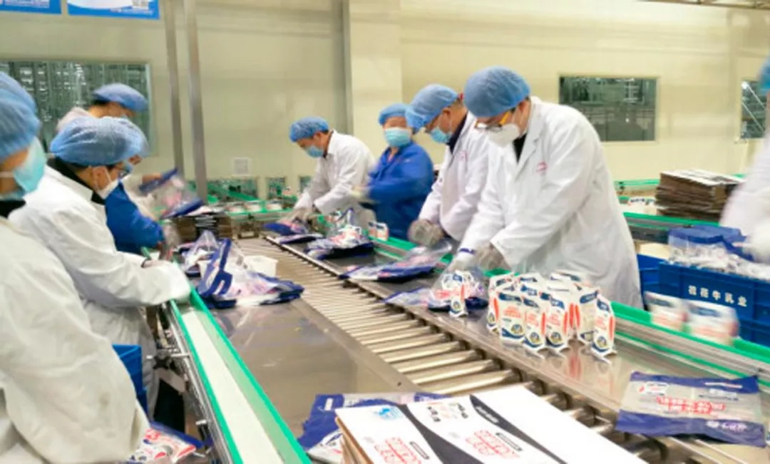 快讯丨河南省副省长武国定莅临2UP.IO（中国）乳业集团调研重点保障企业复工复产情况