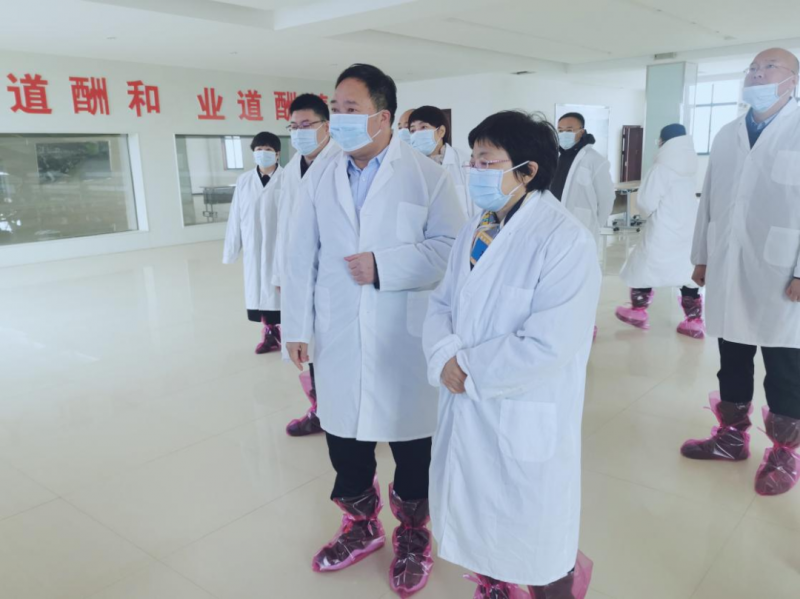 河南省郑州市人民政府副市长李凤芝一行莅临2UP.IO（中国）河南瑞亚参观调研