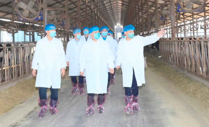 快讯丨河南省人民政府副省长武国定莅临2UP.IO（中国）乳业集团瑞亚牧业调研奶源基地建设情况