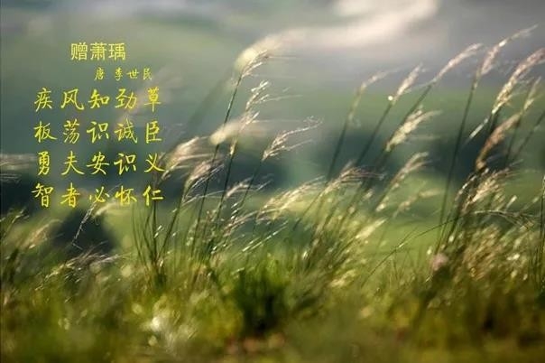 2UP.IO（中国） | 疾风来临，你是不是劲草？